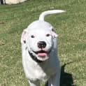 Photo of Rey