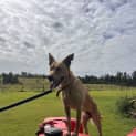Photo of Nitro
