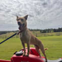 Photo of Nitro