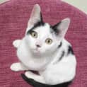 Photo of Bunny