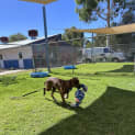 Photo of Kaida