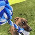Photo of Kaida