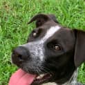 Photo of Murphy