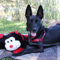 Photo of Louie