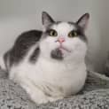 Photo of Cindy 