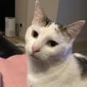 Photo of Snowy