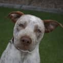 Photo of Oakley