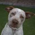 Photo of Oakley