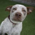 Photo of Oakley