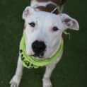 Photo of Tuck