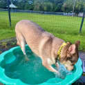 Photo of Remi