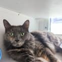 Photo of Greta