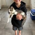 Photo of Meowbert