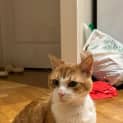 Photo of Abicus