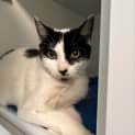 Photo of Lucky