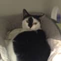 Photo of Willow