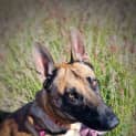 Photo of Emperor