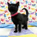 Photo of Audrey Located In Preston