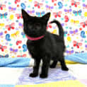 Photo of Audrey Located In Preston