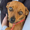 Photo of Winnie