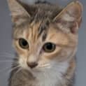 Photo of Octavia