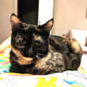 Photo of Imogen Located In Westmeadows