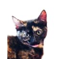 Photo of Imogen Located In Westmeadows