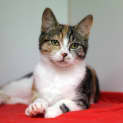 Photo of Lucia