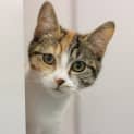 Photo of Lucia
