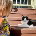 Photo of Felix
