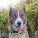 Photo of Missy
