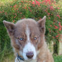 Photo of Missy