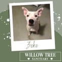 Photo of Zeke