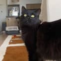 Photo of Aurora