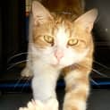 Photo of Timmy
