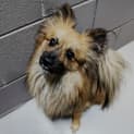 Photo of Teddy