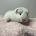 Photo of Danae*
