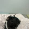Photo of Crumble