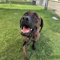 Photo of Wesson