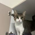 Photo of Blinky