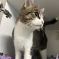 Photo of Blinky