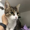 Photo of Blinky