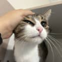Photo of Blinky