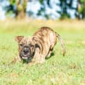 Photo of Zoom