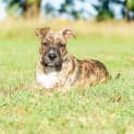 Photo of Zoom