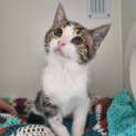 Photo of Florence