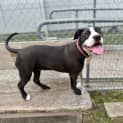 Photo of Roxi
