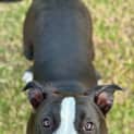 Photo of Roxi