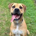 Photo of Rosie