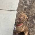 Photo of Zara